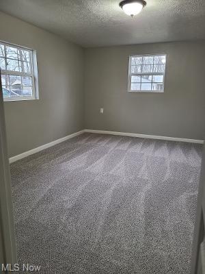 369 Wesley Ave, Elyria, OH 44035 photo 24