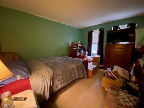 135 Brace Ave, Elyria, OH 44035 photo 7