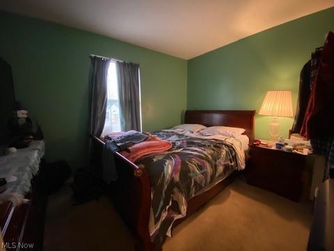 135 Brace Ave, Elyria, OH 44035 photo 9