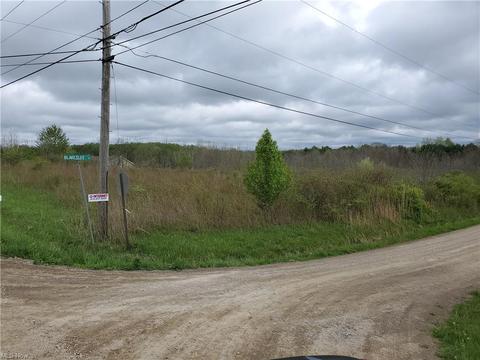 149 S Ridge E, Conneaut, OH 44030 photo 1