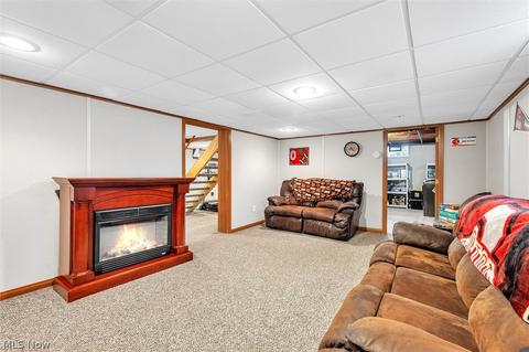 1325 Warrick Dr, Saybrook, OH 44004 photo 32