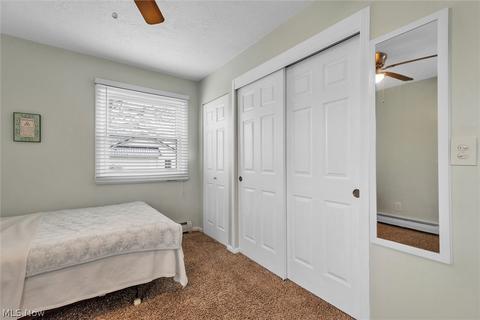 1325 Warrick Dr, Saybrook, OH 44004 photo 20