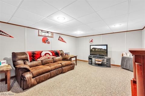 1325 Warrick Dr, Saybrook, OH 44004 photo 31