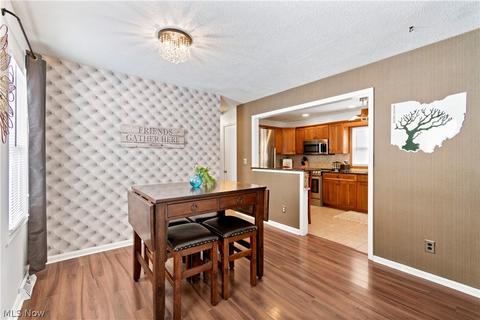 281 E Willowview Dr, Coventry, OH 44319 photo 4