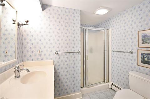 356 E Garfield Rd, Aurora, OH 44202 photo 28