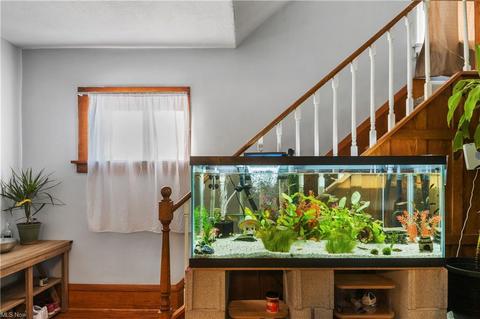 273 E Miller Ave, Akron, OH 44311 photo 20