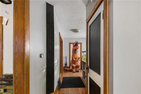273 E Miller Ave, Akron, OH 44311 photo 13