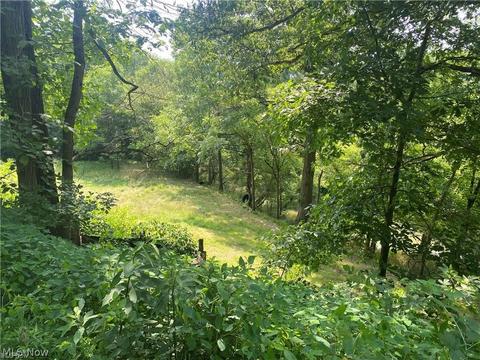 76040 Skullfork Rd, Freeport, OH 43973 photo 13