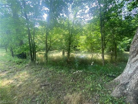 76040 Skullfork Rd, Freeport, OH 43973 photo 19