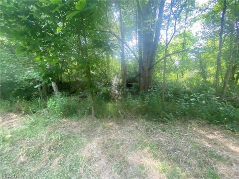 76040 Skullfork Rd, Freeport, OH 43973 photo 17