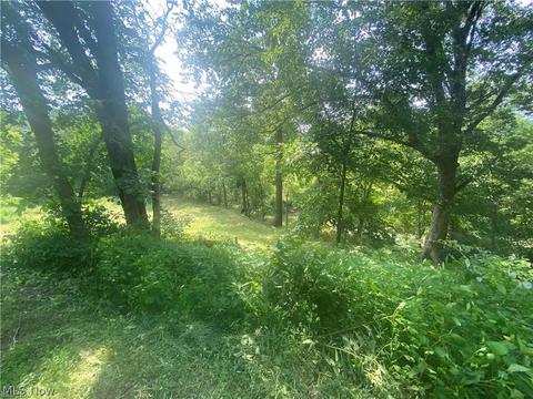 76040 Skullfork Rd, Freeport, OH 43973 photo 9