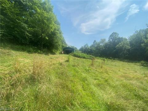 76040 Skullfork Rd, Freeport, OH 43973 photo 1