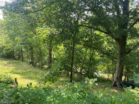 76040 Skullfork Rd, Freeport, OH 43973 photo 12