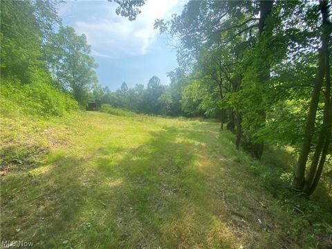 76040 Skullfork Rd, Freeport, OH 43973 photo 2