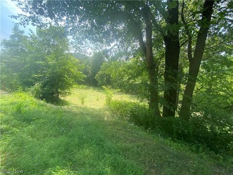 76040 Skullfork Rd, Freeport, OH 43973 photo 14