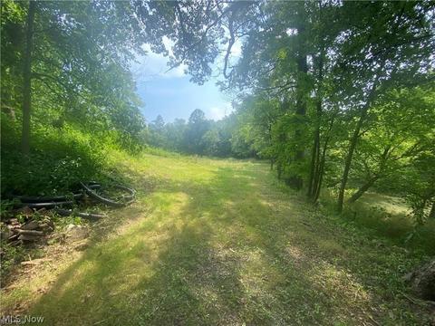76040 Skullfork Rd, Freeport, OH 43973 photo 16