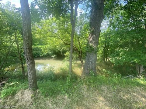76040 Skullfork Rd, Freeport, OH 43973 photo 15