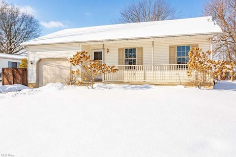 460 Stallion Ct, Lagrange, OH 44050 photo 31