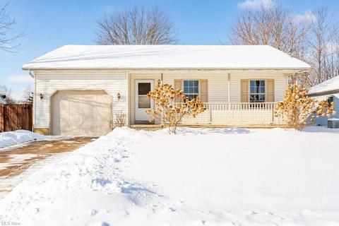 460 Stallion Ct, Lagrange, OH 44050 photo 1