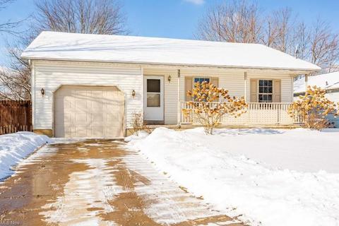 460 Stallion Ct, Lagrange, OH 44050 photo 30