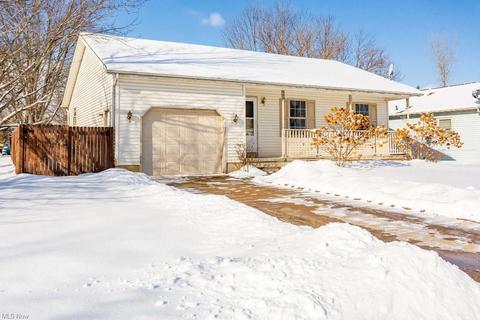460 Stallion Ct, Lagrange, OH 44050 photo 29