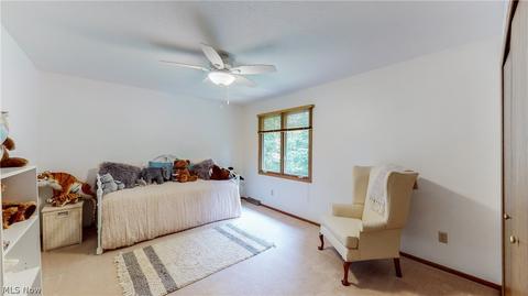 7369 Rollingbrook Trl, Solon, OH 44139 photo 22