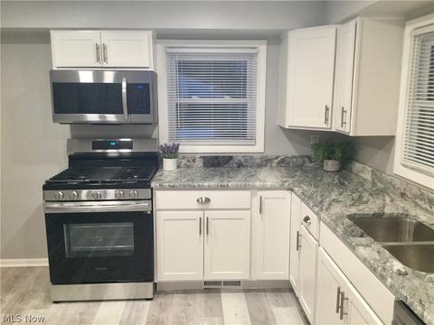 481 Wesley Ave, Elyria, OH 44035 photo 2