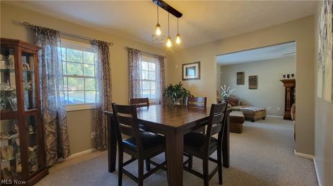 241 E 280th St, Euclid, OH 44132 photo 21