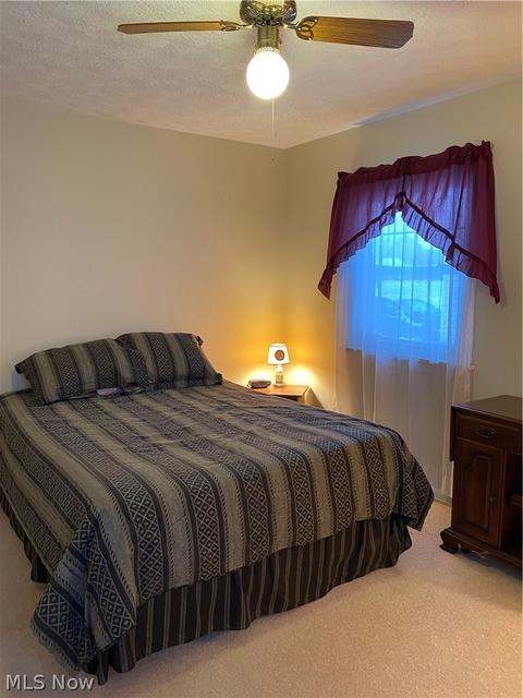 1731 Union Ave, Ashtabula, OH 44004 photo 20