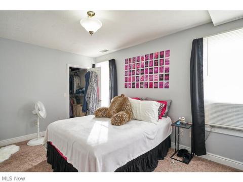 409 High St, Wadsworth, OH 44281 photo 10