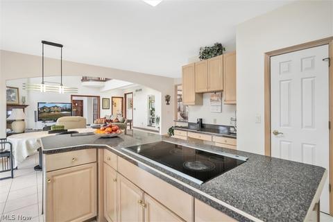 5630 Saddle Ln, Solon, OH 44139 photo 13