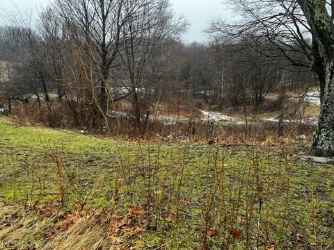58384 Wright Rd, Barnesville, OH 43713 photo 6