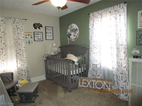 605 Myrtle Ave, Ashtabula, OH 44004 photo 24