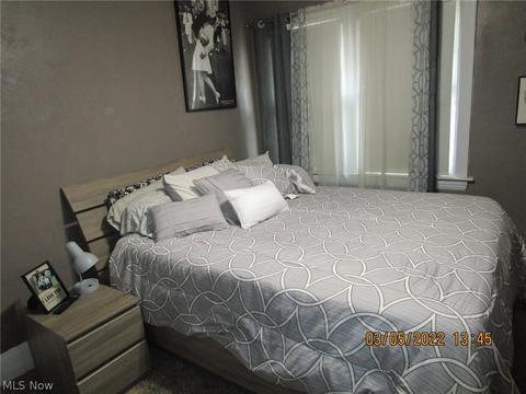 605 Myrtle Ave, Ashtabula, OH 44004 photo 27