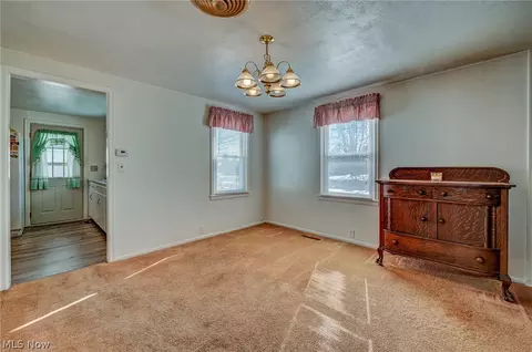 229 Forest St, Lagrange, OH 44050 photo 23