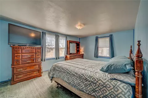 229 Forest St, Lagrange, OH 44050 photo 31