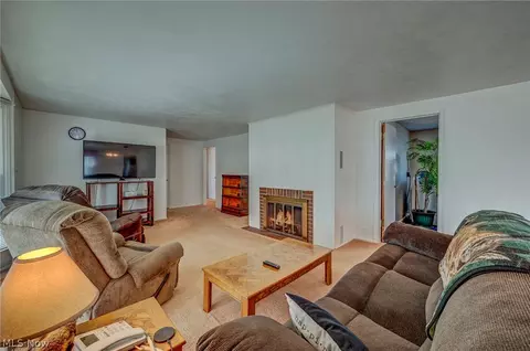 229 Forest St, Lagrange, OH 44050 photo 26