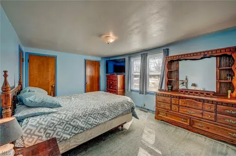 229 Forest St, Lagrange, OH 44050 photo 32