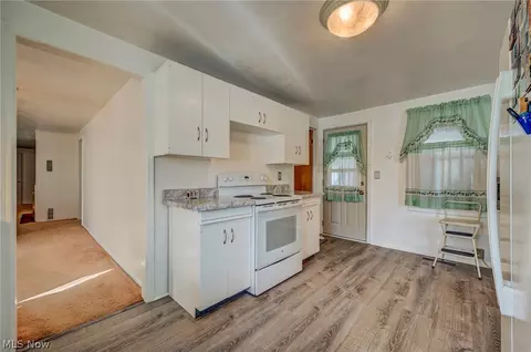 229 Forest St, Lagrange, OH 44050 photo 20