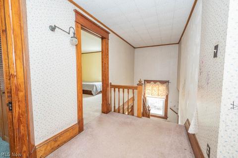 42 Case Rd, Beloit, OH 44609 photo 19