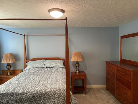 127 Ashfield Ct, Elyria, OH 44035 photo 14