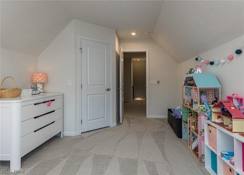 813 Walcutt Ct, Lagrange, OH 44050 photo 22