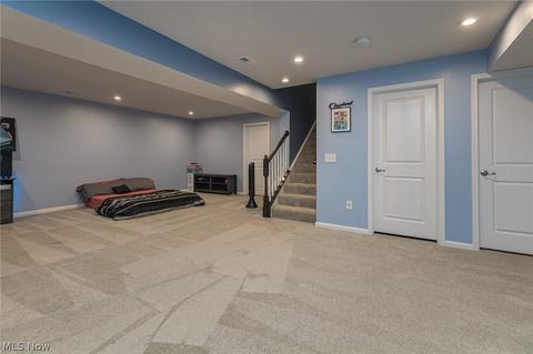 813 Walcutt Ct, Lagrange, OH 44050 photo 28