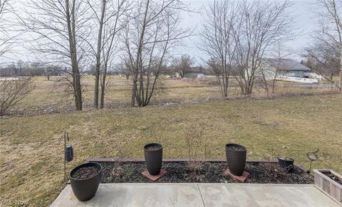 813 Walcutt Ct, Lagrange, OH 44050 photo 33