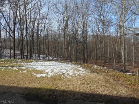 6904 Sandy Hook Dr, Parma, OH 44134 photo 28