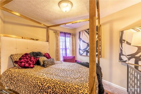 3782 Parkside Cir E, Lorain, OH 44053 photo 20