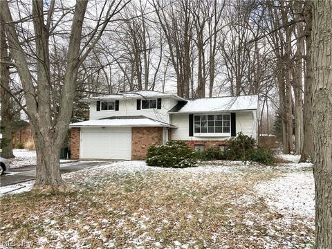 6447 Carter Blvd, Mentor, OH 44060 photo 1