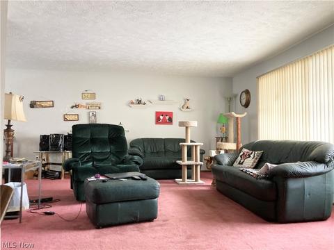 6447 Carter Blvd, Mentor, OH 44060 photo 12