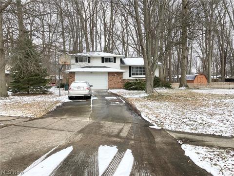 6447 Carter Blvd, Mentor, OH 44060 photo 2