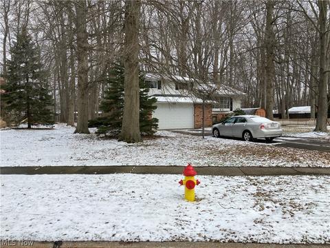 6447 Carter Blvd, Mentor, OH 44060 photo 3